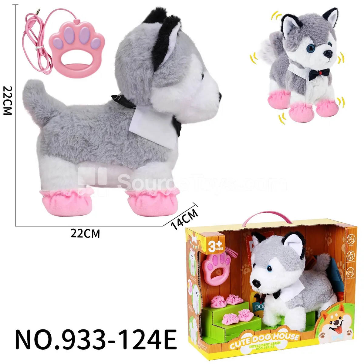 Leash Husky Dog