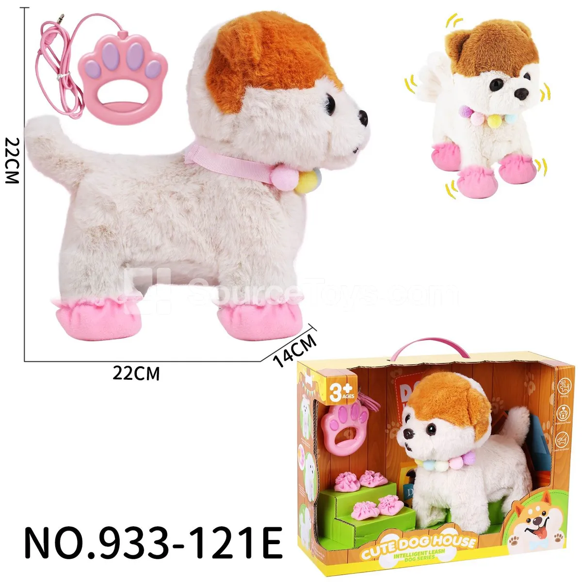 Leash Pomeranian Dog