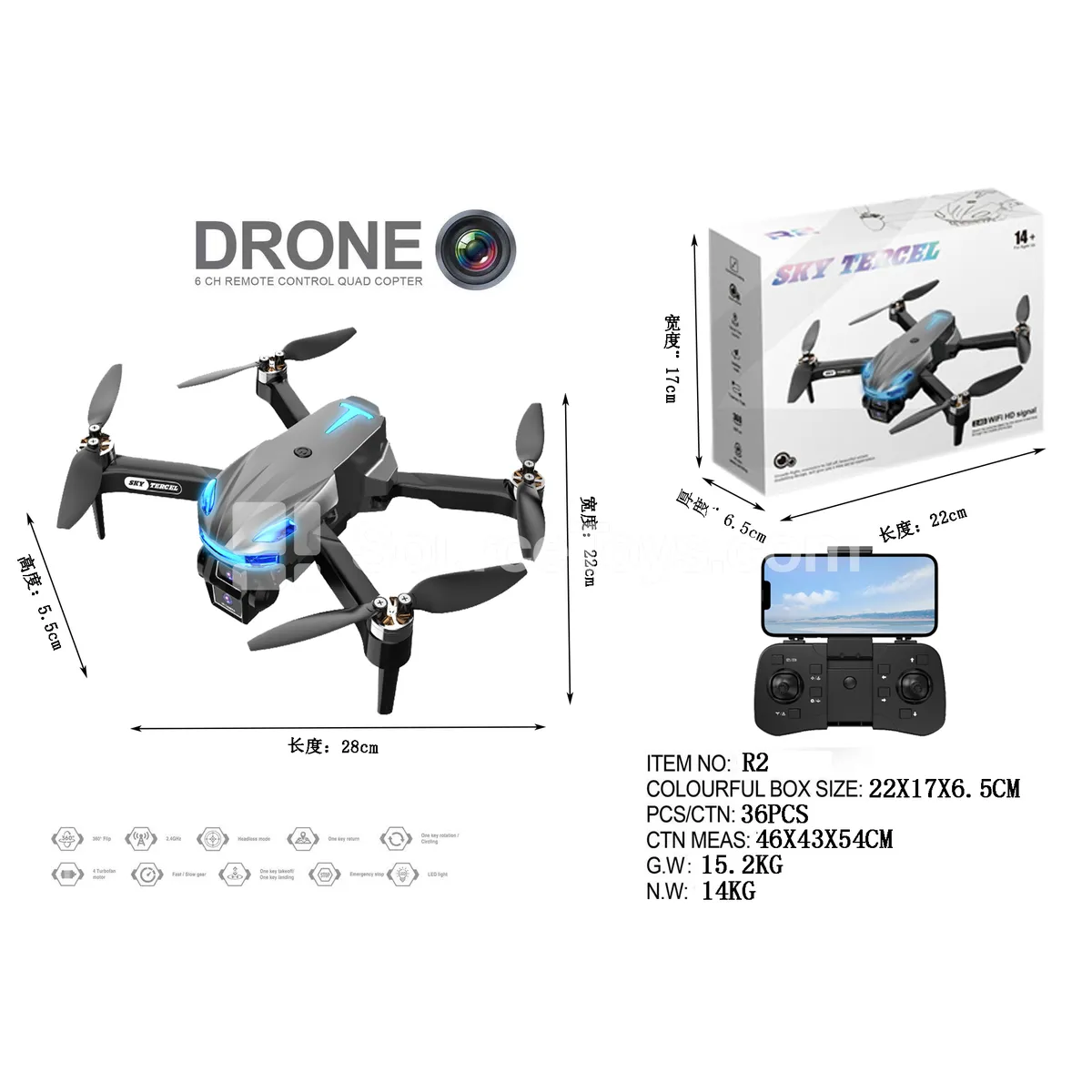 2.4GHz Brushless Motor RC Airplane
