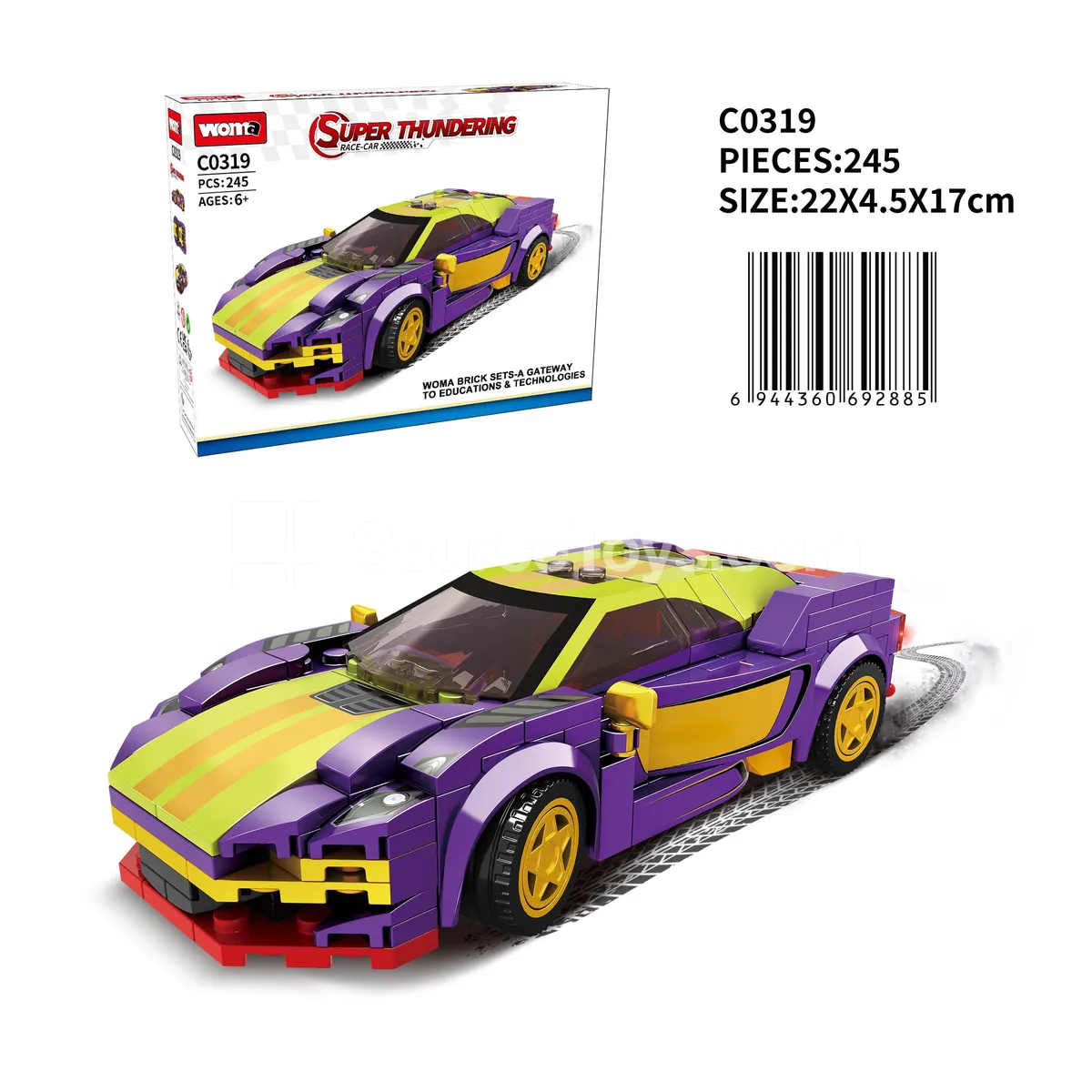 Racing Car Series GTR Racing Car Series GTR