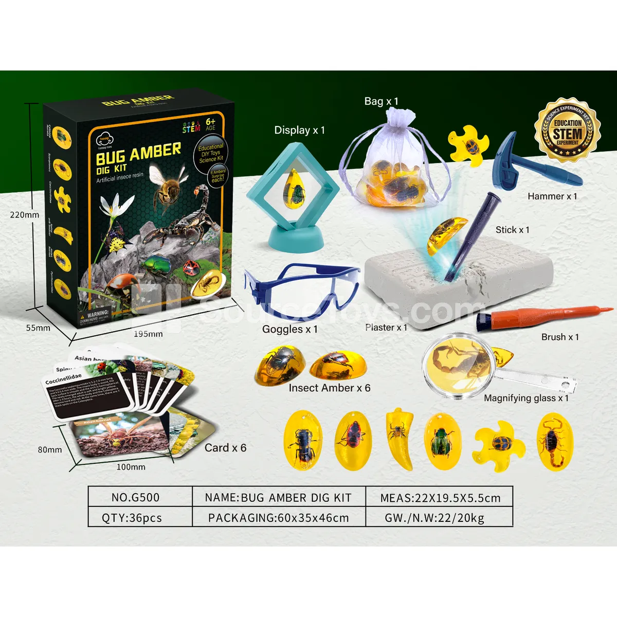 Insect Amber Fossil Dig Kit Insect Amber Fossil Dig Kit
