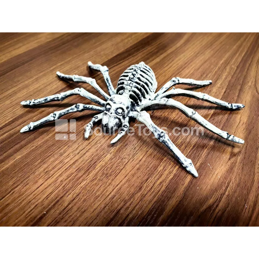 Spider Skeleton Figure