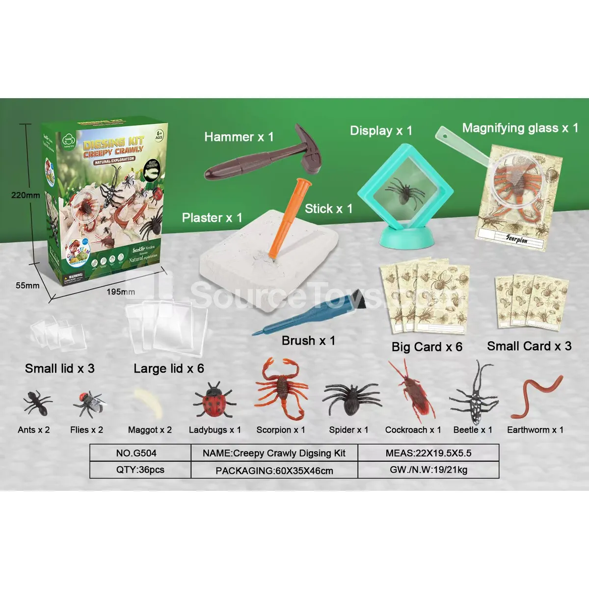 Insect Fossil Dig Kit