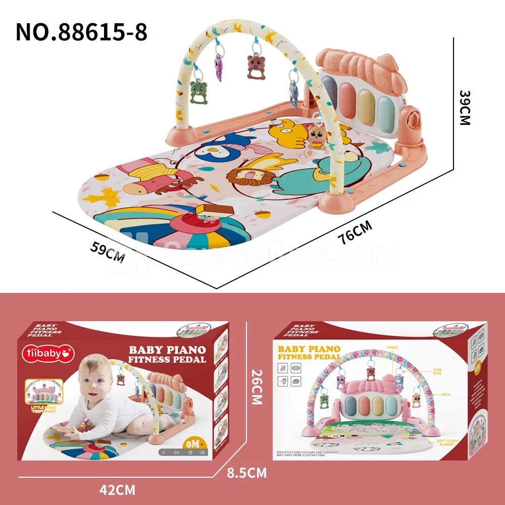 Baby Play Gym Baby Play Gym