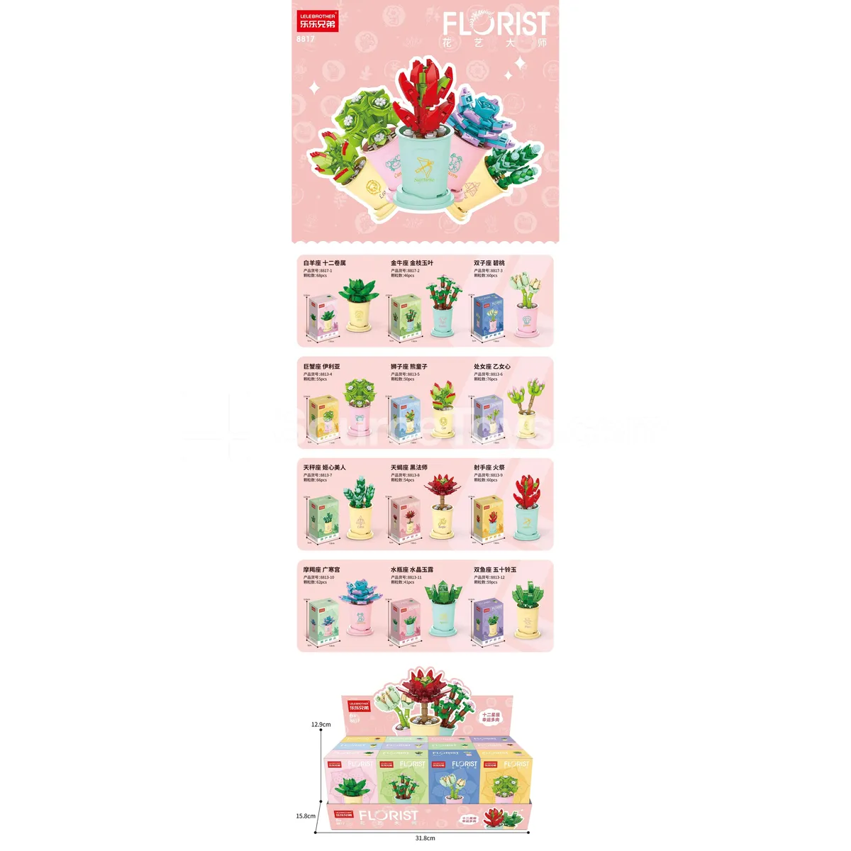 Children's Educational Assembly Building Blocks 12 Zodiac Lucky Succulents Children's Educational Assembly Building Blocks 12 Zodiac Lucky Succulents