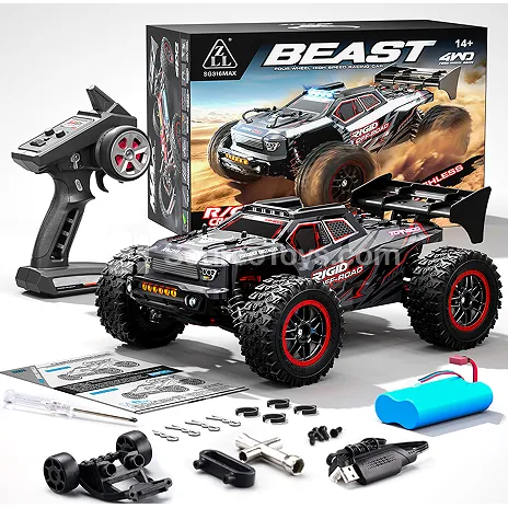 1/16 Scale Electric 4WD Monster Truck Remote Control Car (Brushed Motor)