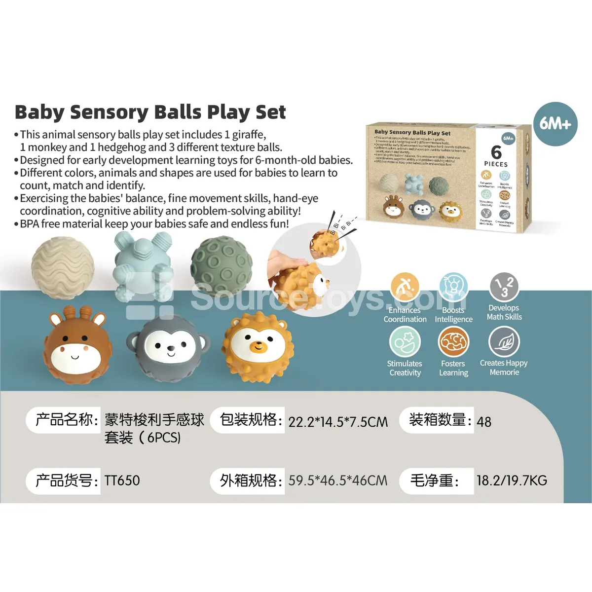 Montessori Sensory Ball Set (6 PCS)
