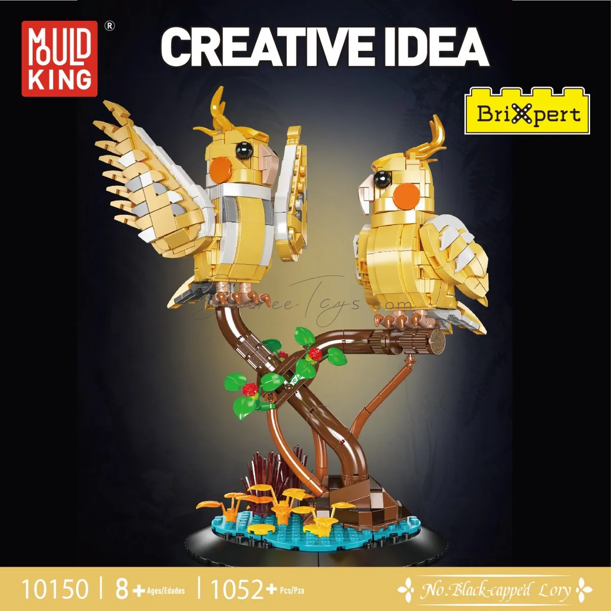Building Blocks Set with Instructions Building Blocks Set with Instructions