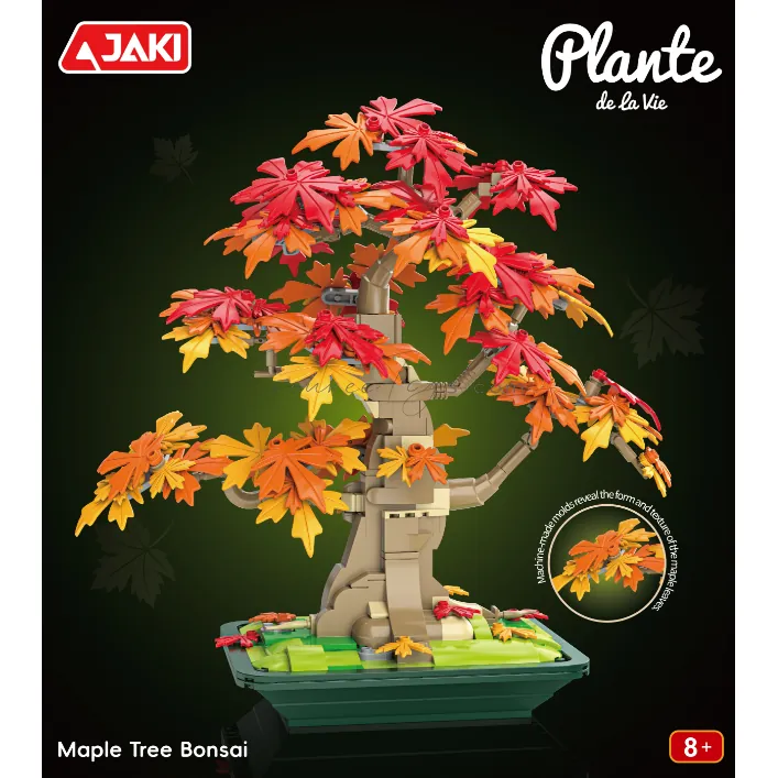Maple Bonsai Tree Maple Bonsai Tree