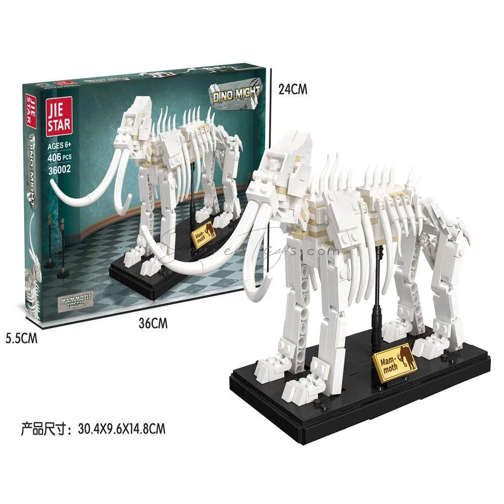 Mammoth Fossil Building Blocks Mammoth Fossil Building Blocks