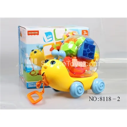 Field Snail Color Box Field Snail Color Box