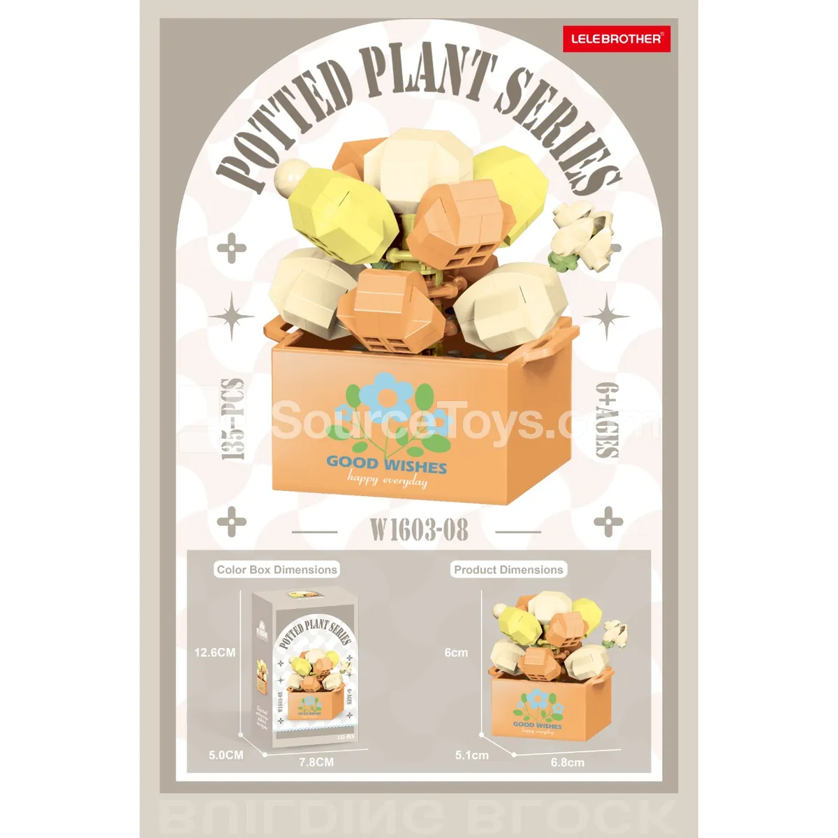 Succulent Plant 135PCS Succulent Plant 135PCS