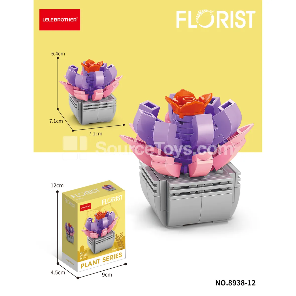 Echeveria 89PCS Building Blocks Echeveria 89PCS Building Blocks