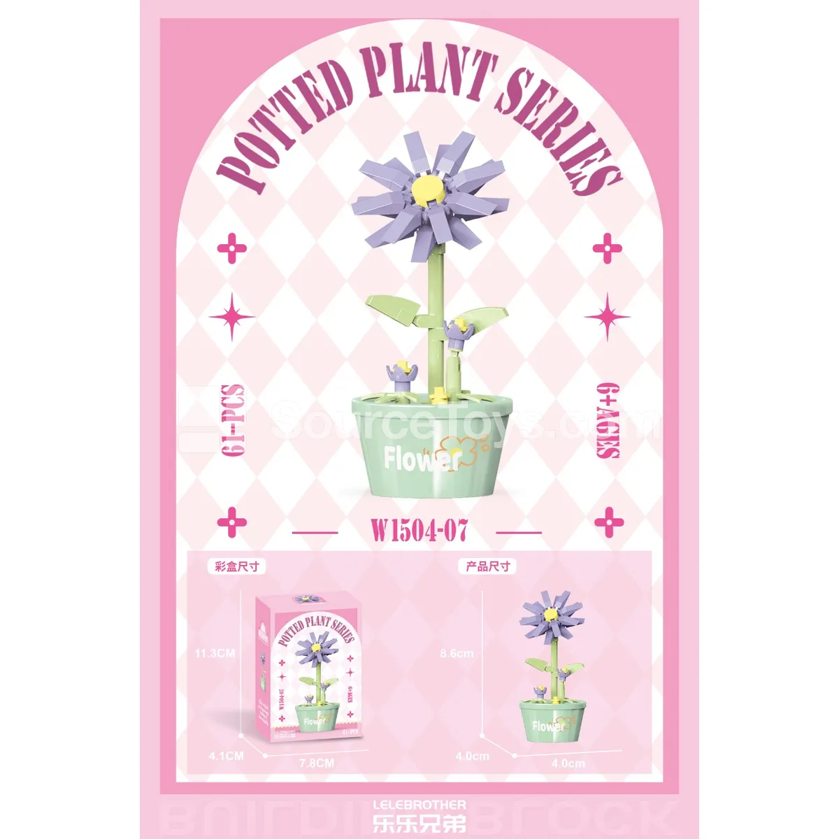 Aster Flower 61PCS Aster Flower 61PCS