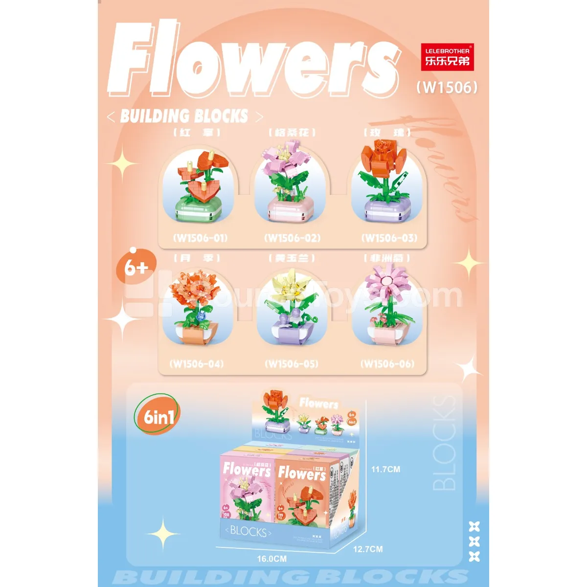 Flower Pot Display Box 6 Assorted Styles