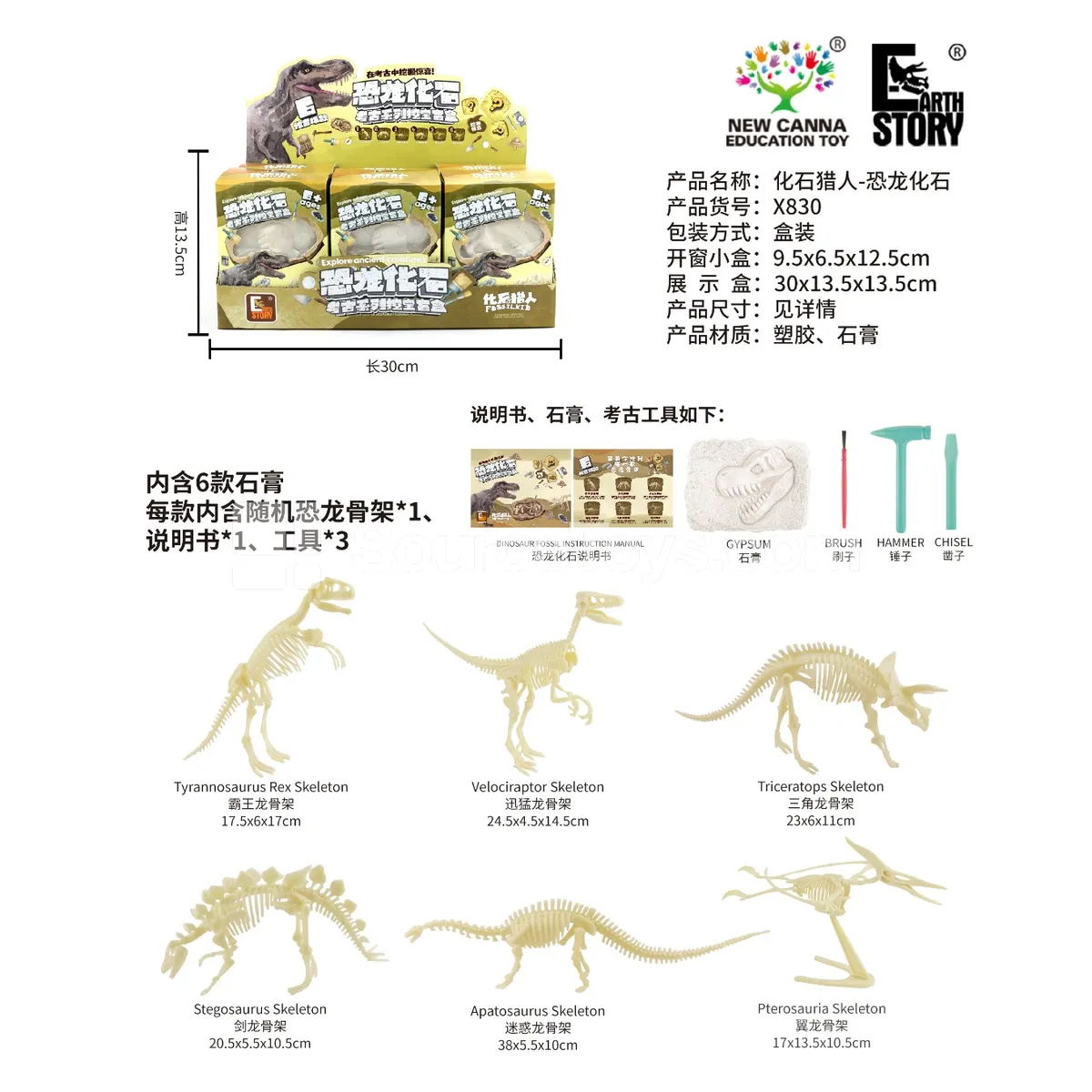 Dinosaur Fossil Toy Dinosaur Fossil Toy