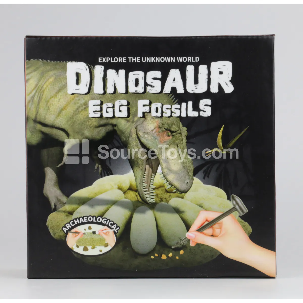 Dinosaur Egg Fossil Excavation Kit