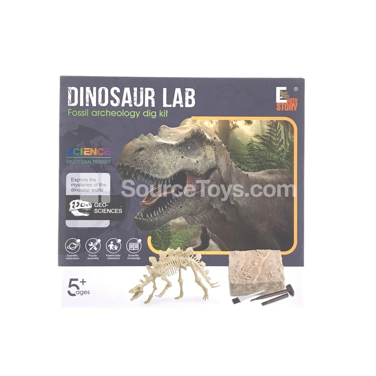 Dinosaur Skeleton Fossil Model Dinosaur Skeleton Fossil Model