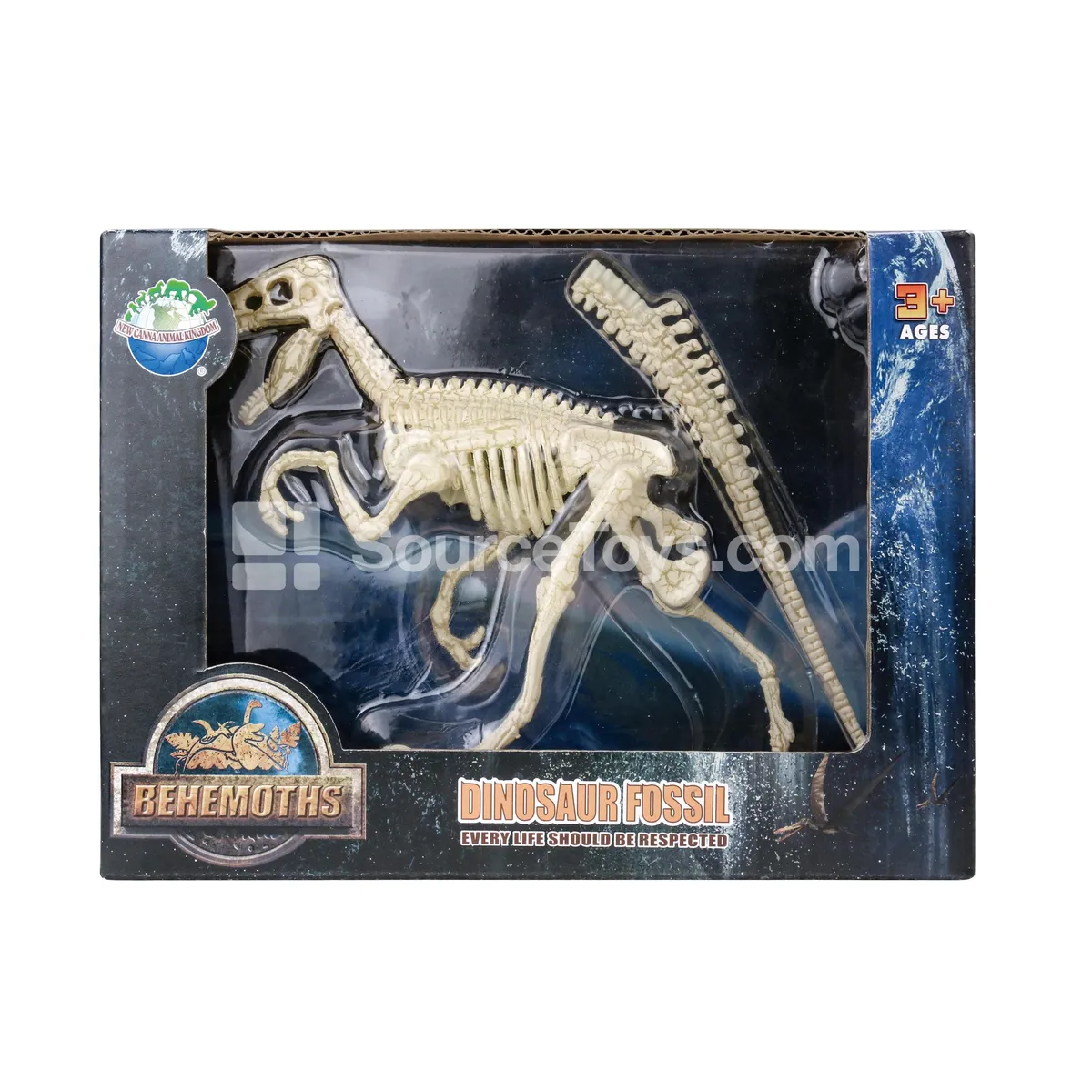 Small Velociraptor Skeleton Model
