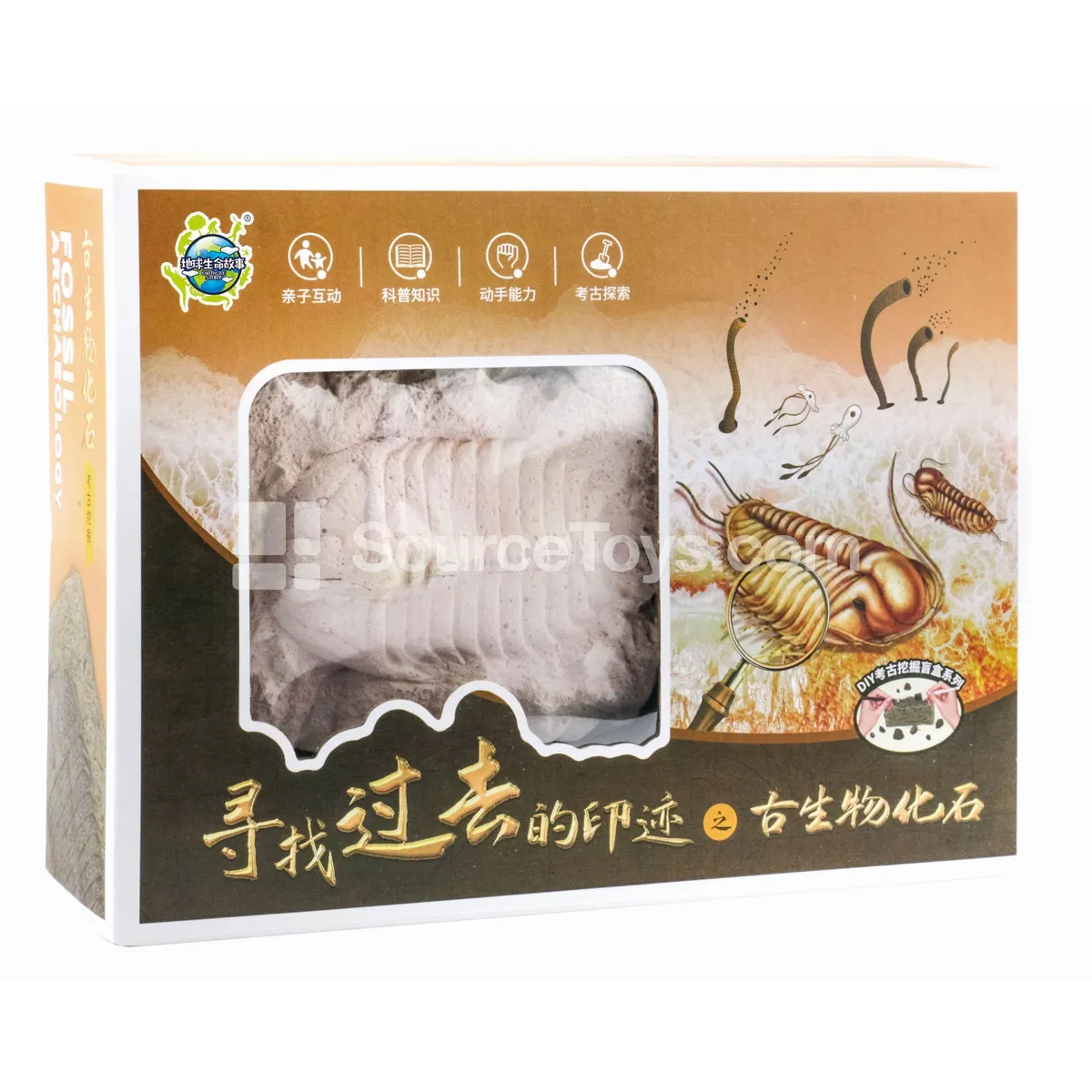 Fossil Excavation Kit