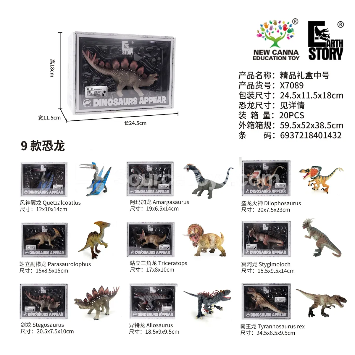 Dinosaur Gift Box Medium