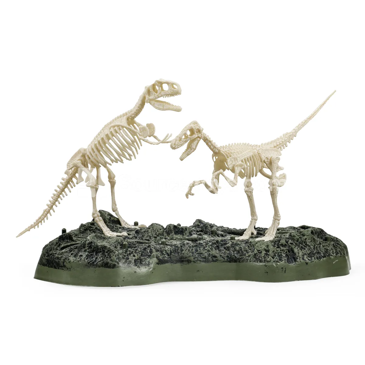 Assembly Dinosaur Fossil Set Assembly Dinosaur Fossil Set