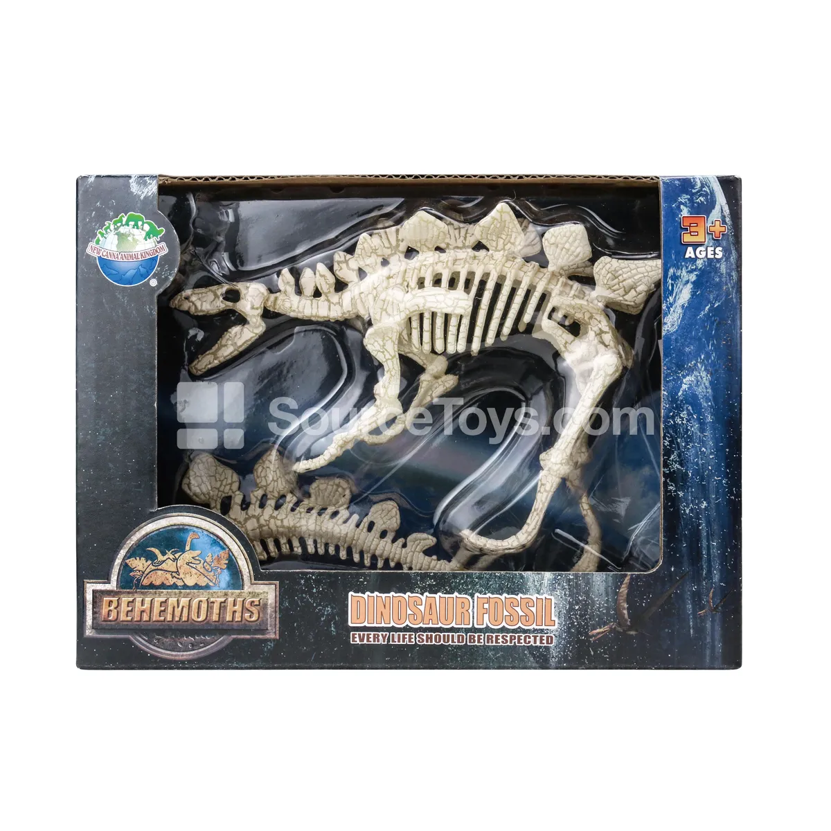 Small Stegosaurus Skeleton Model Small Stegosaurus Skeleton Model