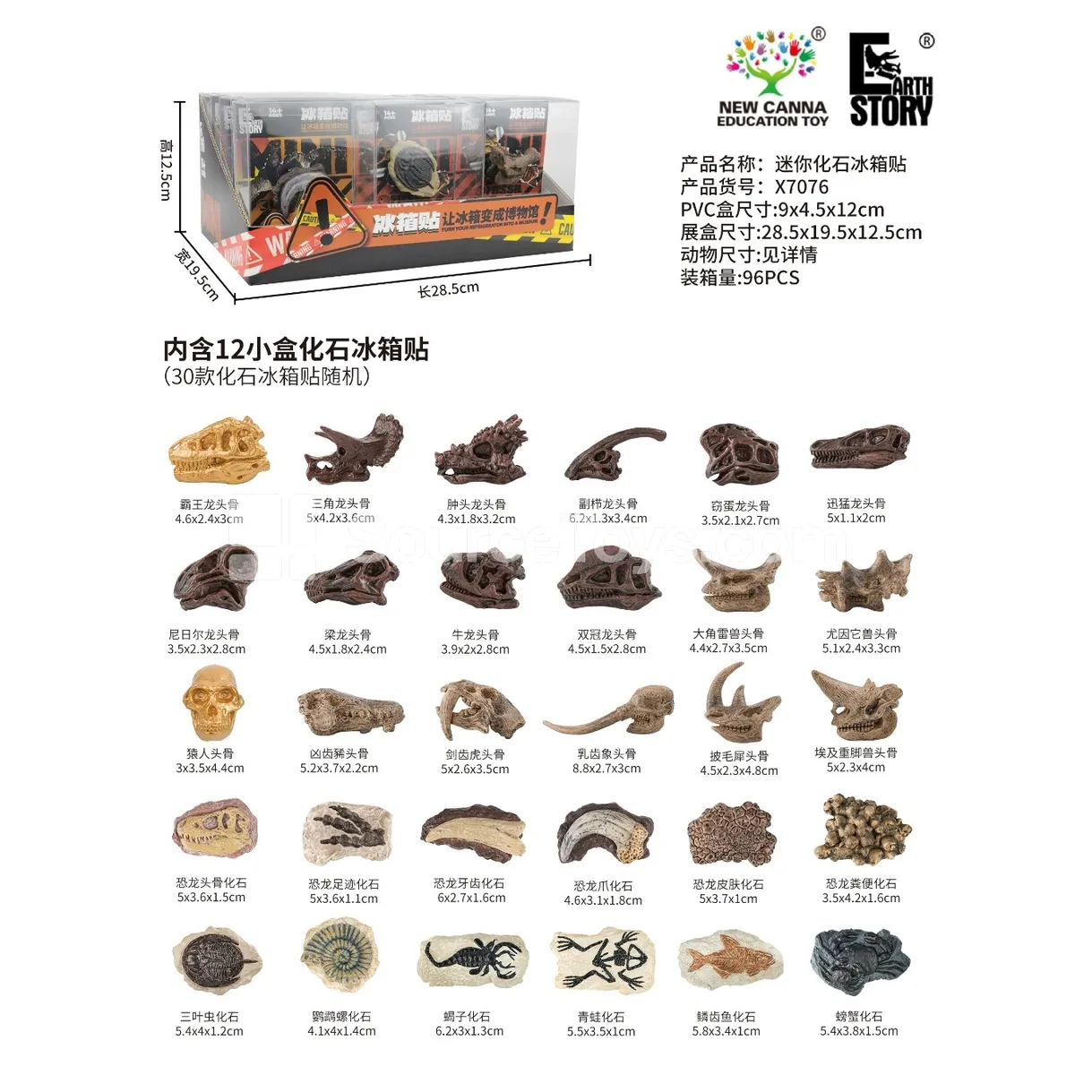Mini Fossil Refrigerator Magnet Mini Fossil Refrigerator Magnet