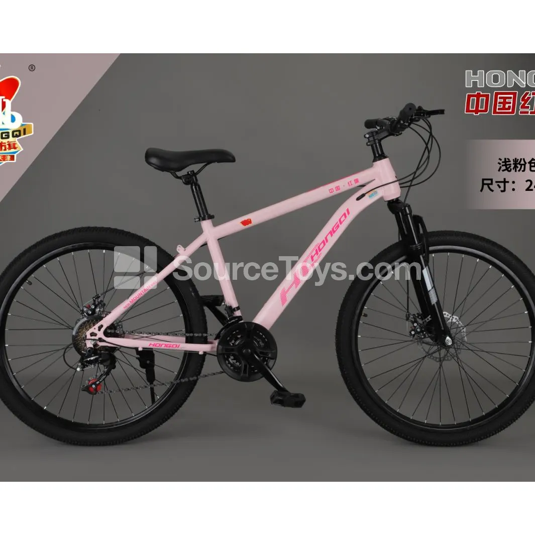 24-Inch Two-Wheel Bike